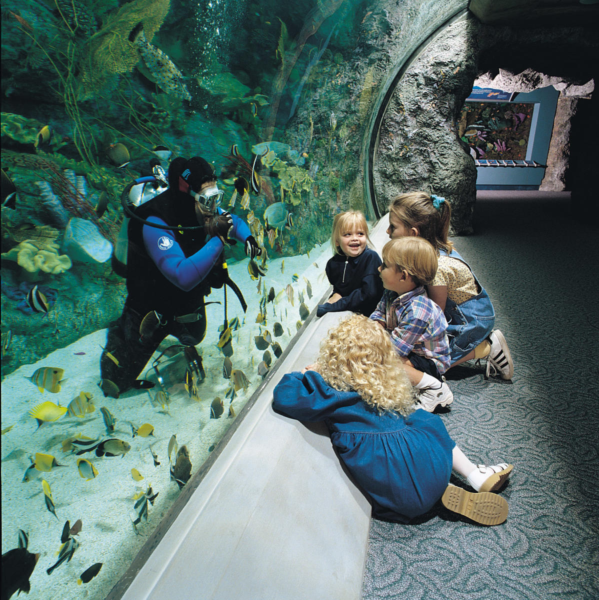 Aquarium of the Pacific